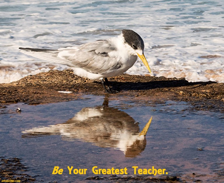 be your greatest teacher